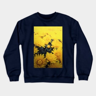 chrysanthemum flowers close up Crewneck Sweatshirt